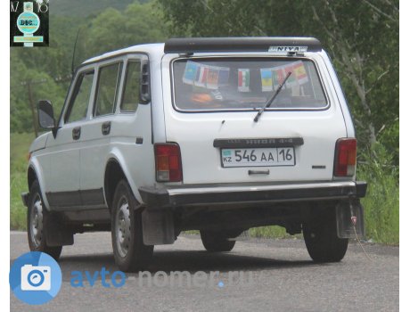 kz54309.jpg