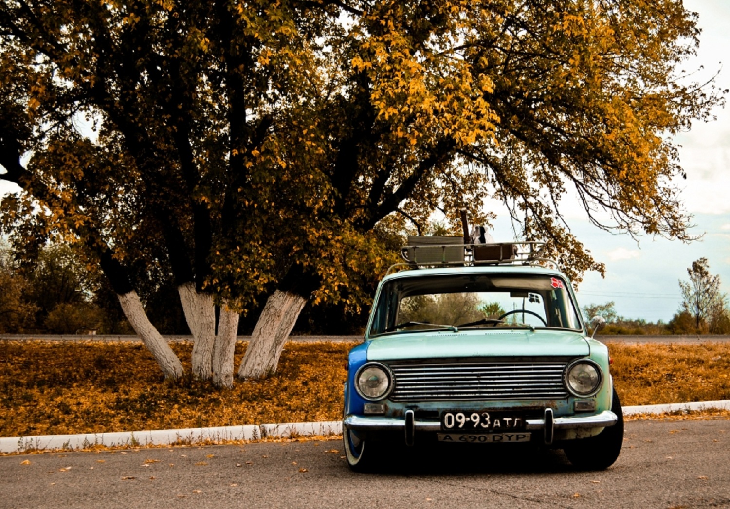 0993 АТЛ, License plate without vehicle 