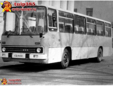 р 2298 ЕЕ, Ikarus 255