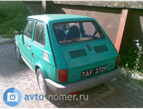 TAF 2729, FIAT 126