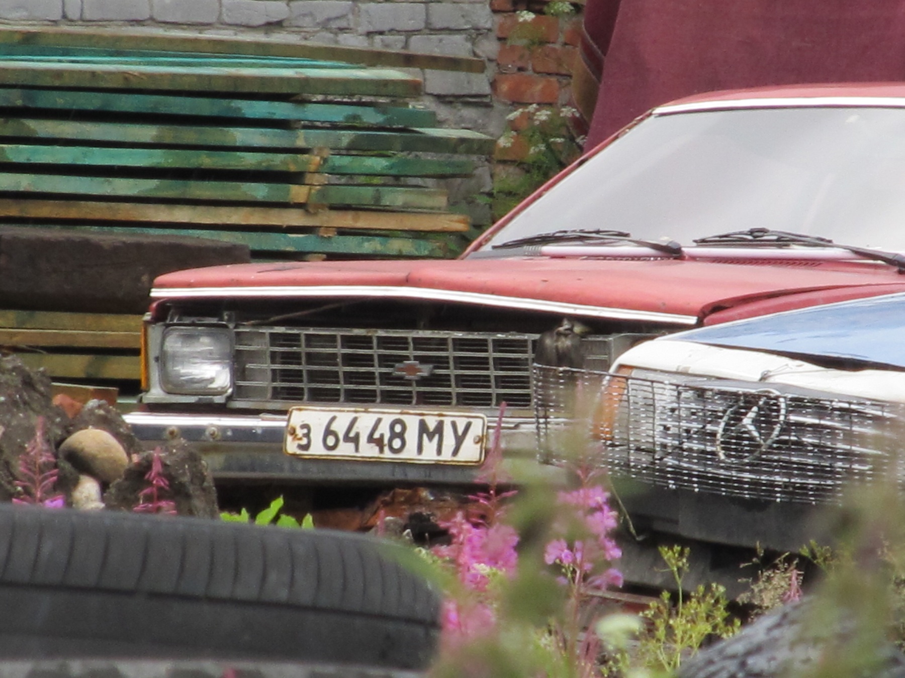 з 6448 МУ, Chevrolet Citation 