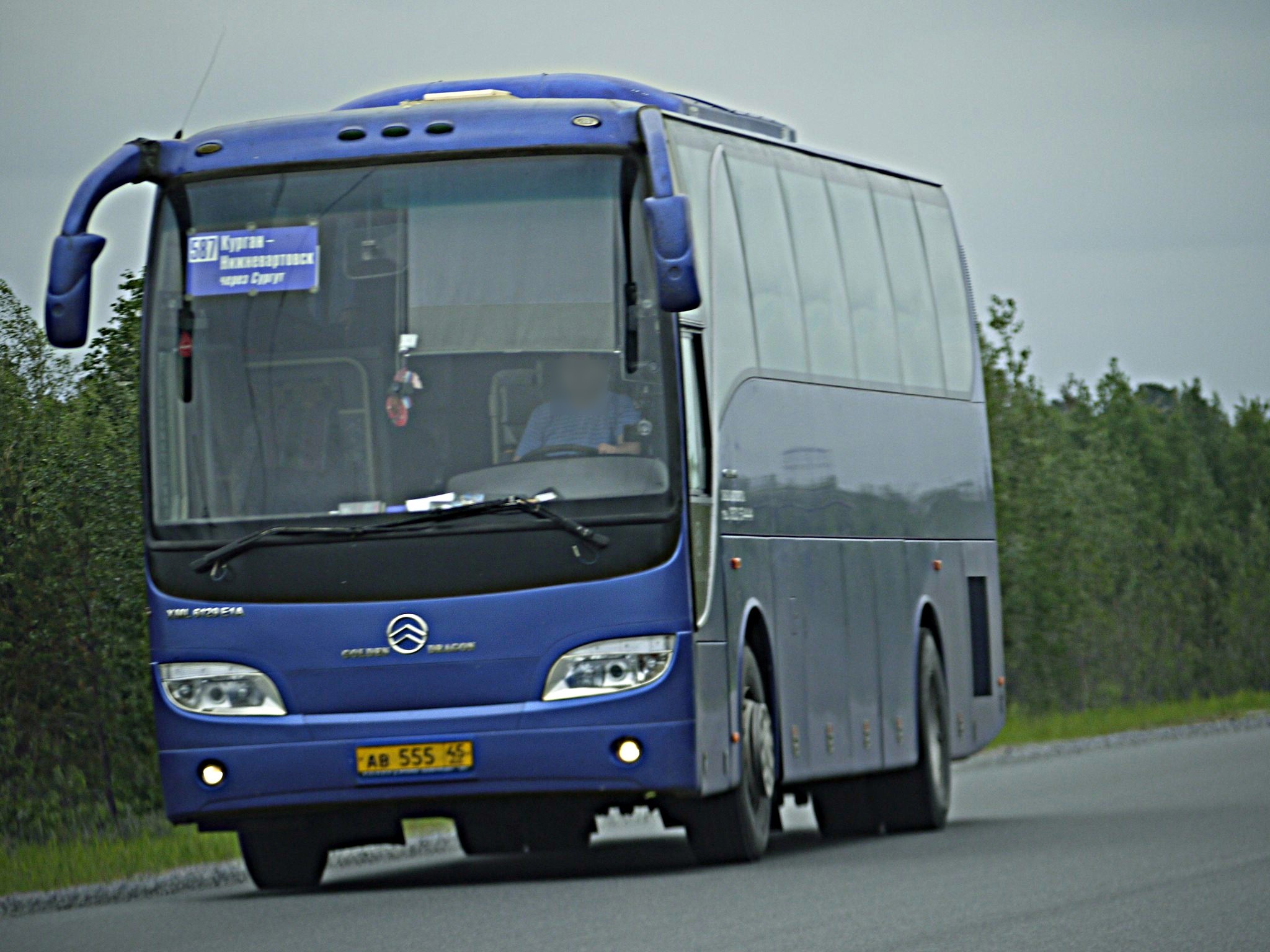 ав 555 45, Golden Dragon XML6129 