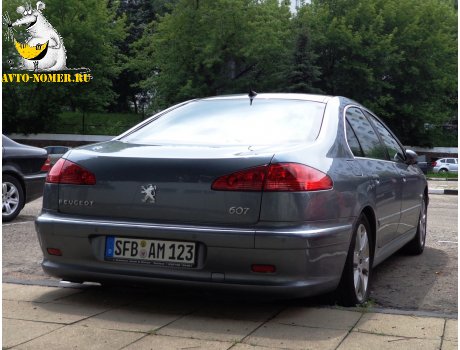 SFB AM 123, Peugeot 607