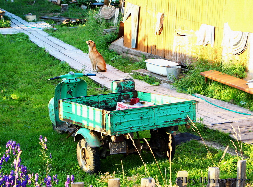 1515 КМГ, TMZ Муравей 