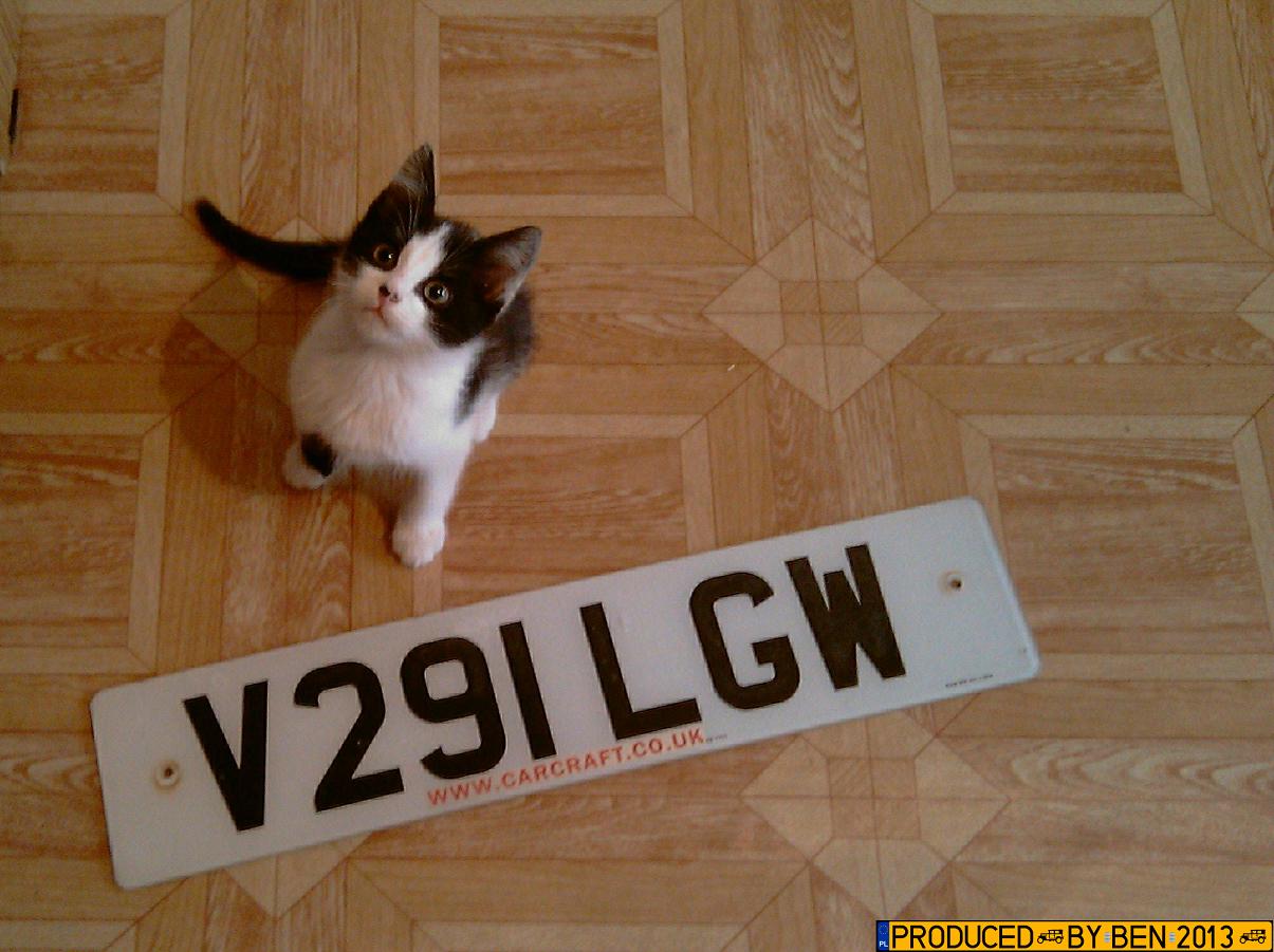 V291LGW, License plate without vehicle 