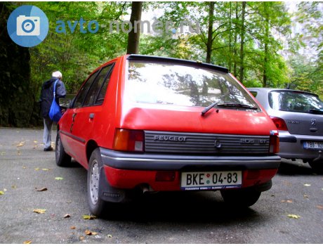BKE 04-83, Peugeot 205