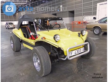 TF 4303 A, Puma Gofio