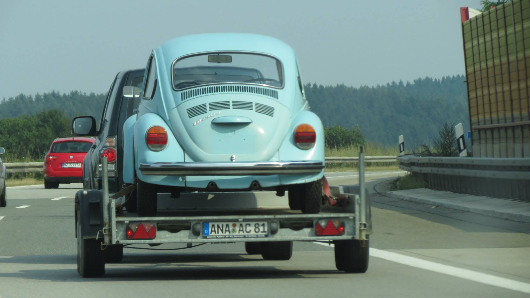 ANA AC 81, Regular plates 