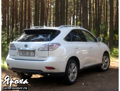 0055 OE-7, Lexus RX
