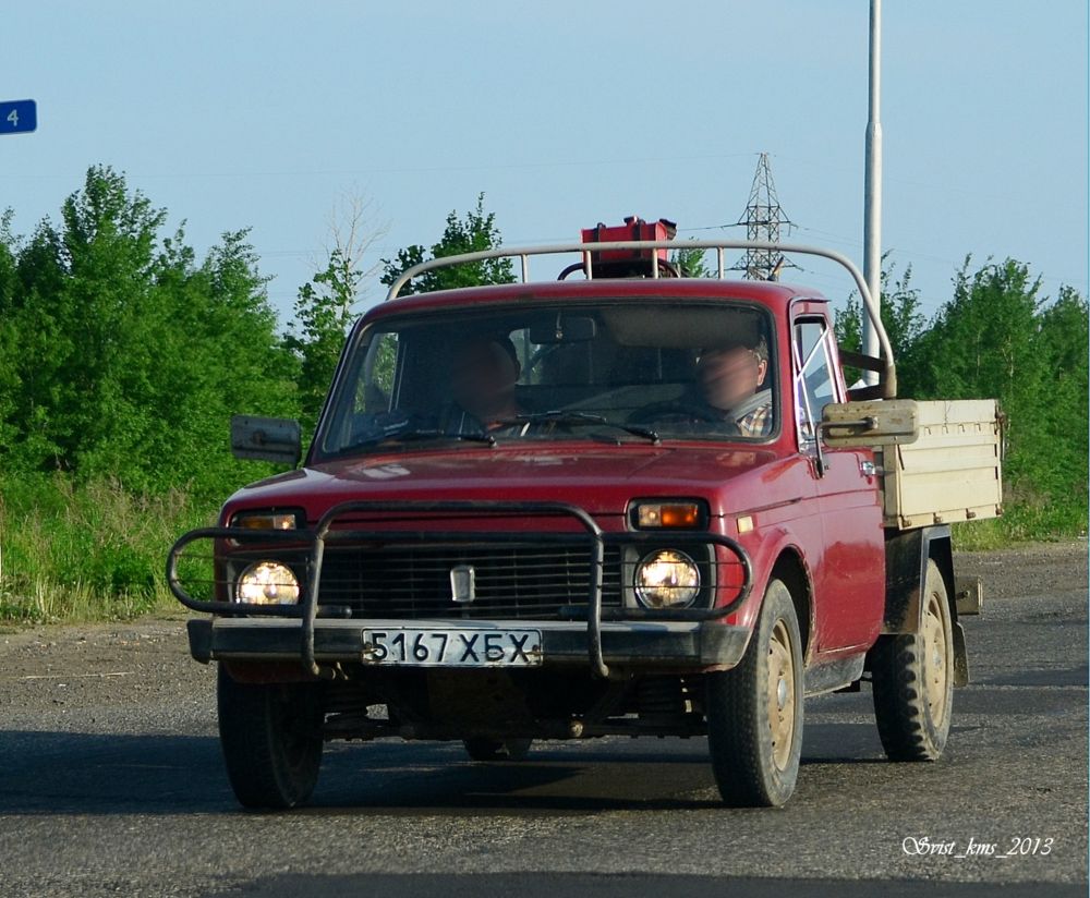 Фото 2302 бизон