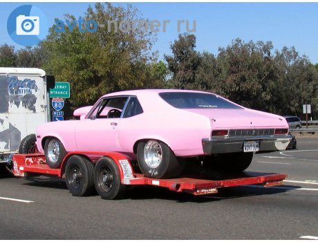 WUNT SUM, Chevrolet Nova