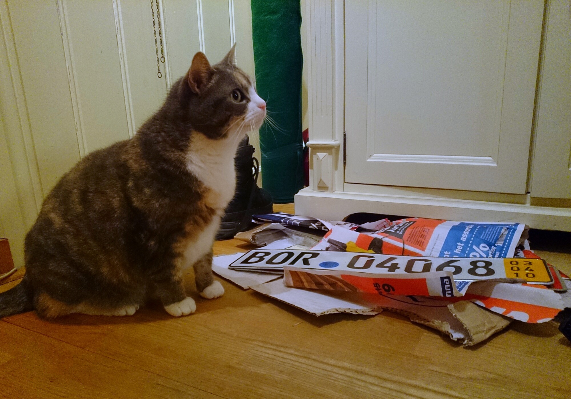 BOR 04068, License plate without vehicle 