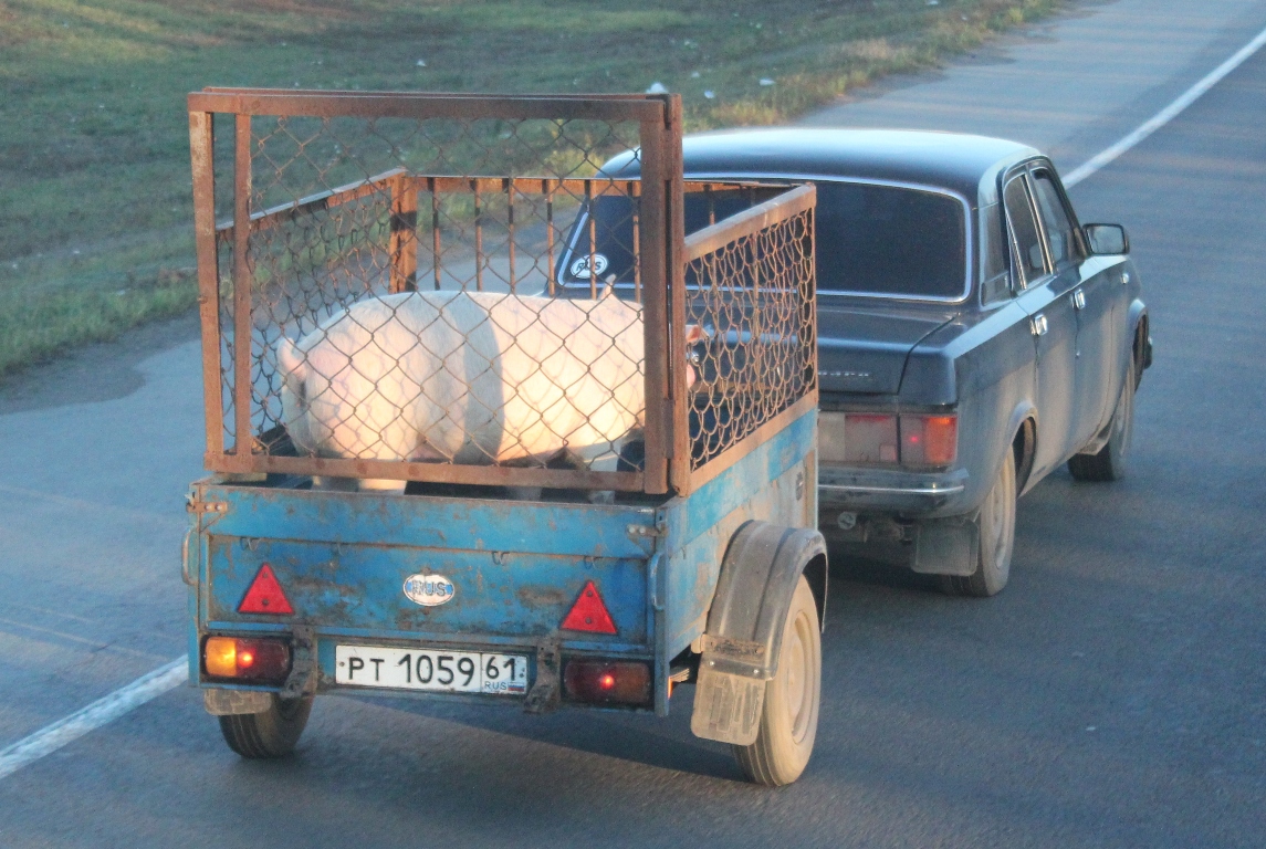 рт 1059 61, SAZ (Saranskiy Zavodavtosamosvalov) 8299 