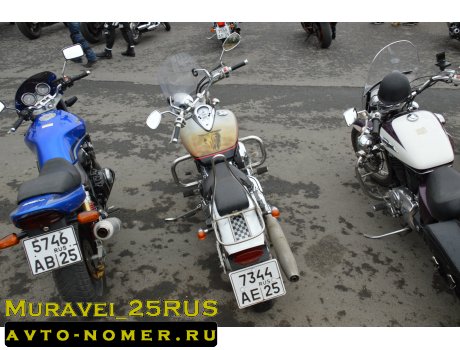 7344 ае 25, Yamaha XVS