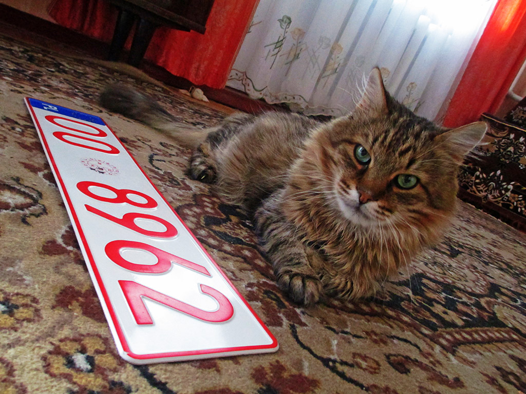 O0 8962, License plate without vehicle 