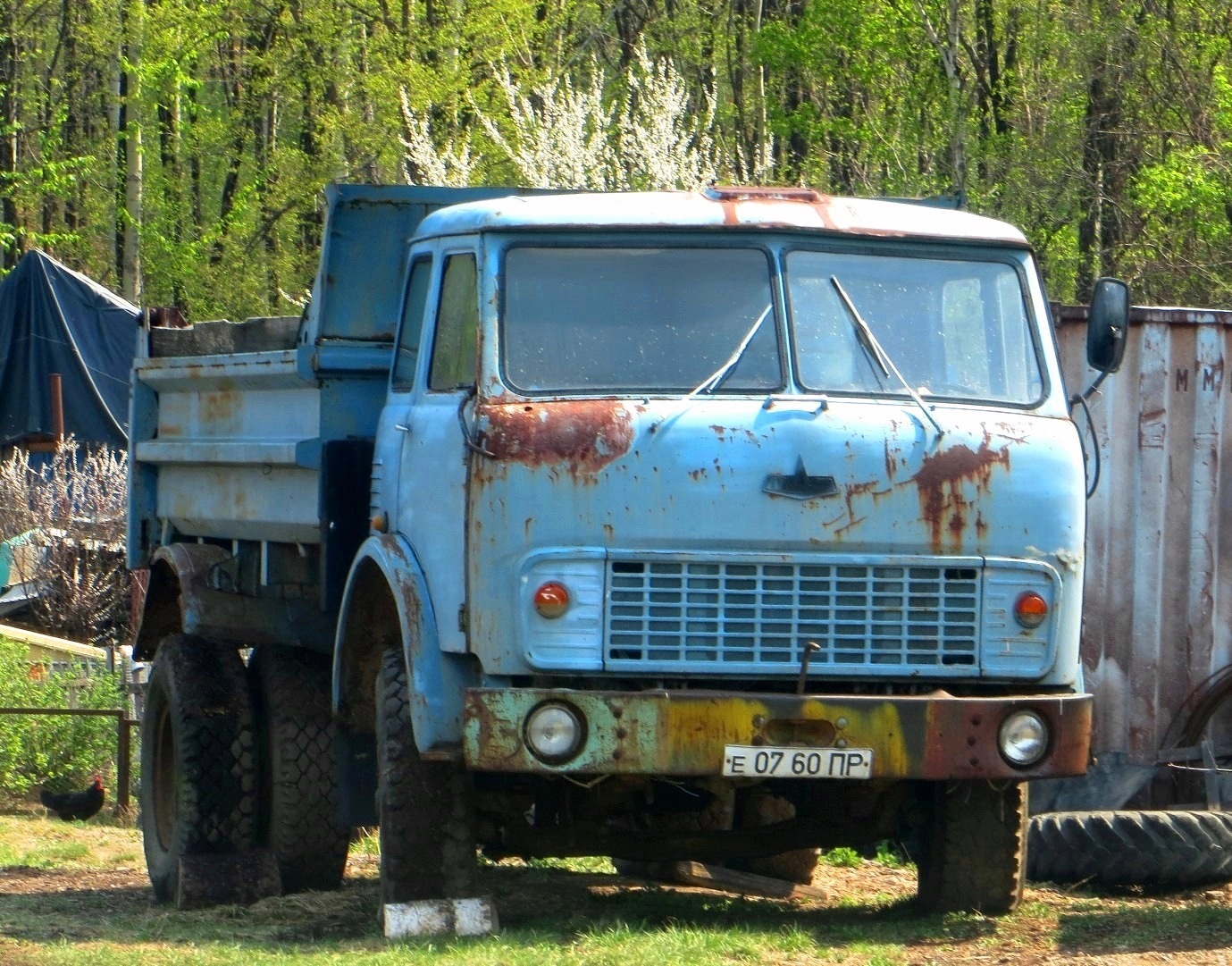 Фото маз 500 самосвал