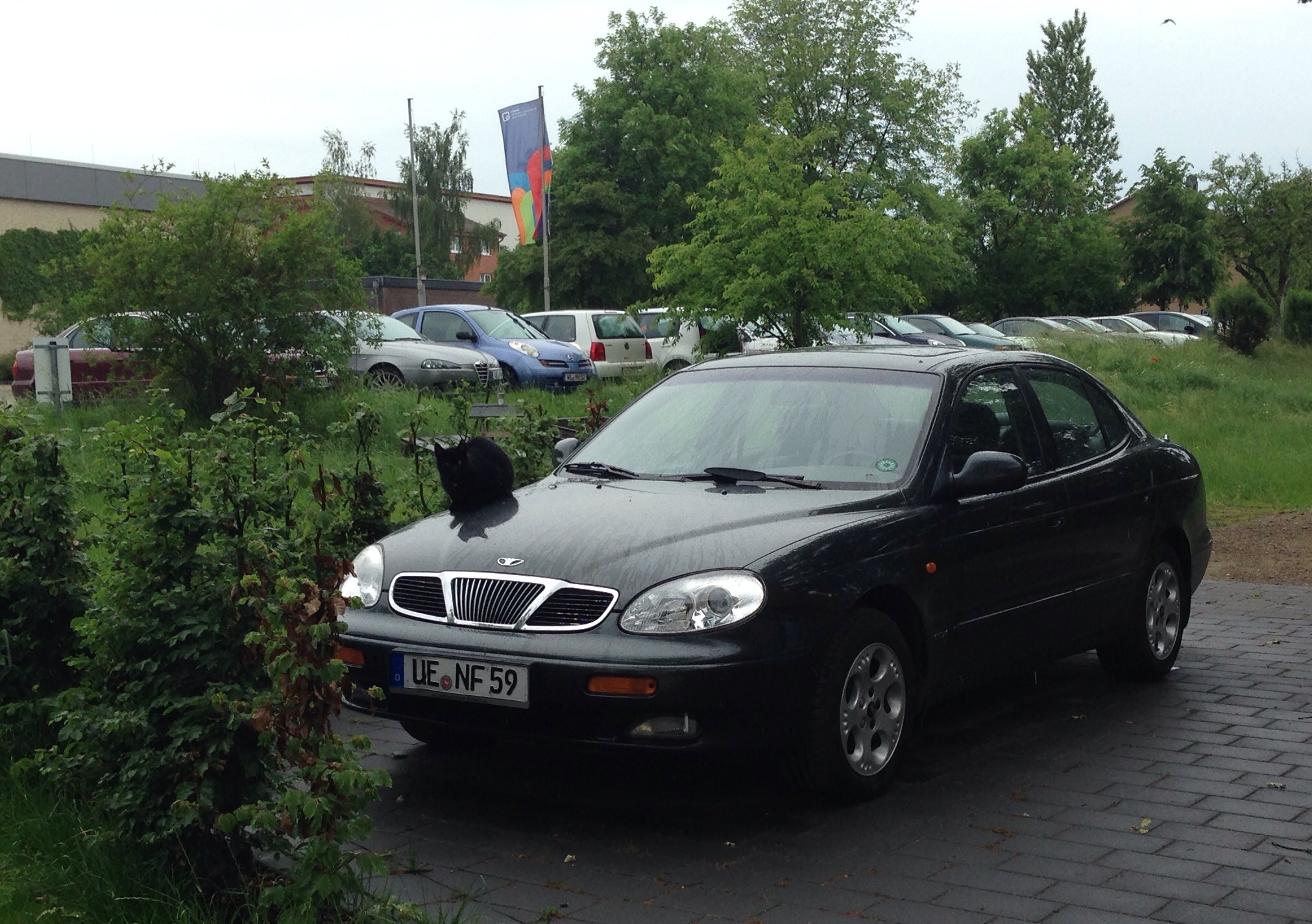 UE NF 59, Daewoo Leganza 1st gen (V100), 1997–2002