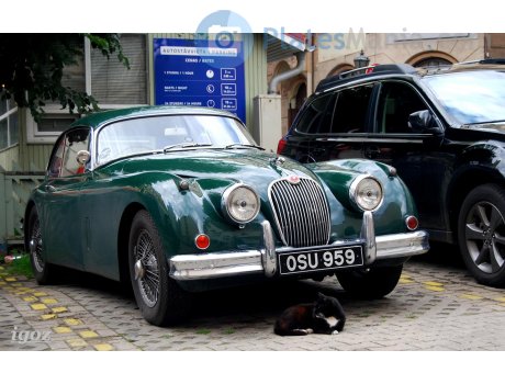OSU 959, Jaguar XK150