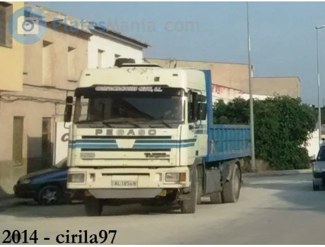 AL 1254 N, Pegaso Troner