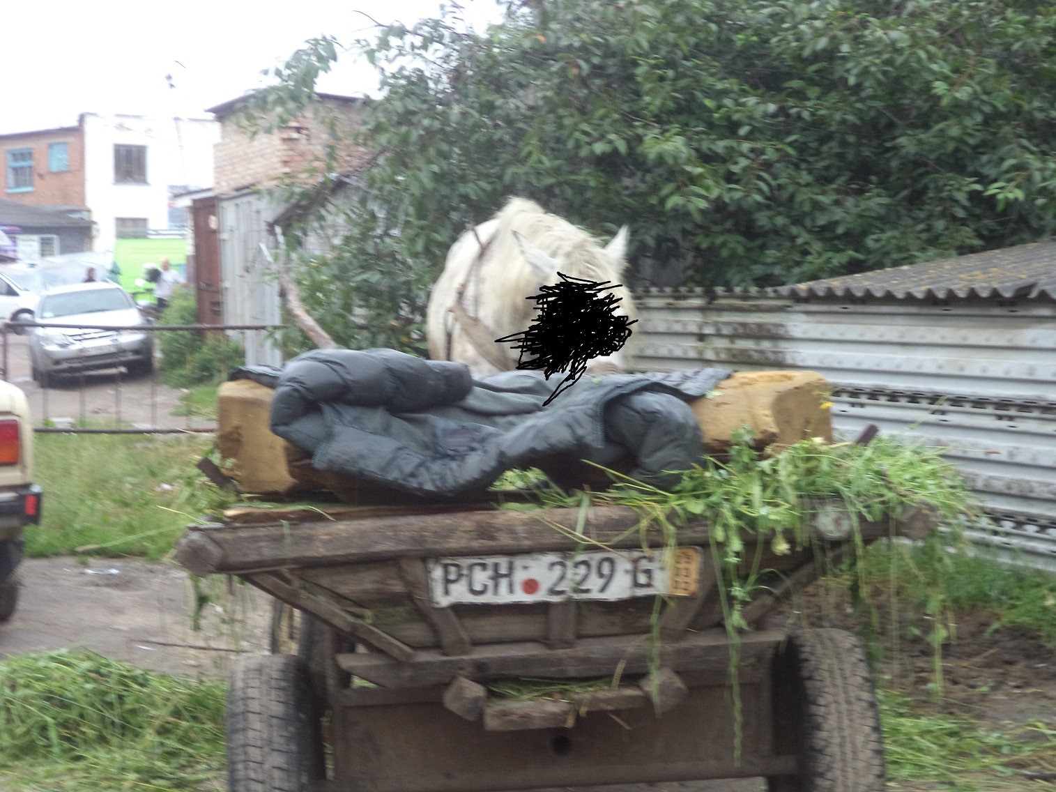 PCH 229 G, License plate without vehicle 