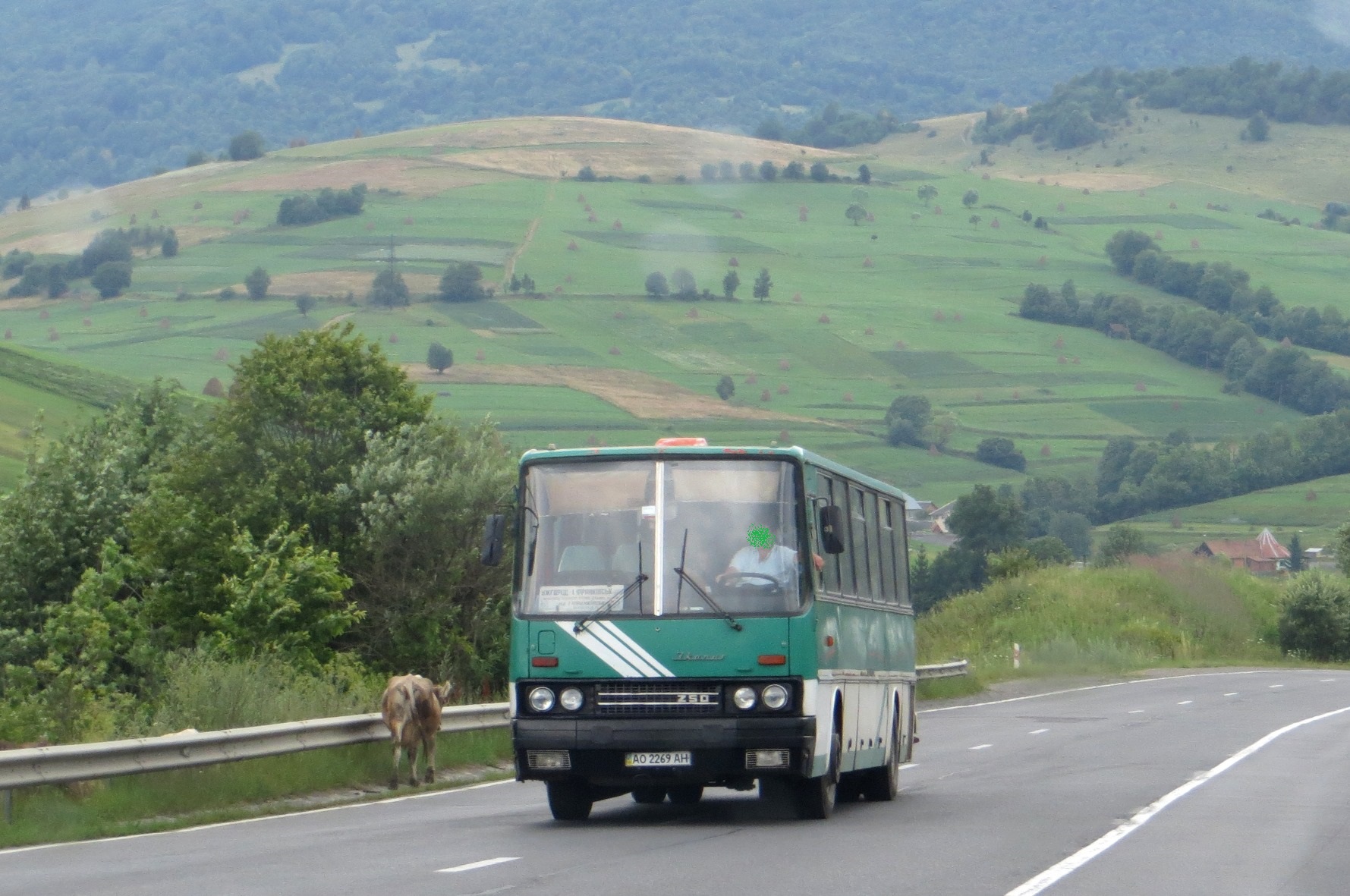 AO 2269 AH, Ikarus 250 