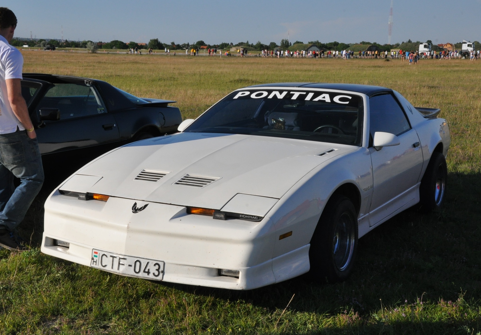 CTF-043, Pontiac Firebird 3rd gen Targa (87; F-body), 1981–1990