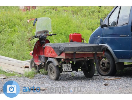 0260 аа 84, TMZ Муравей