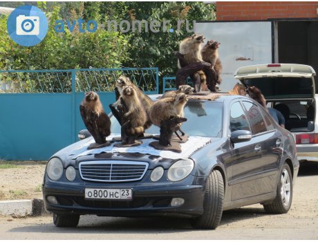 о800нс23, Mercedes-Benz E-Klasse