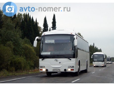 м247ан142, King Long XMQ6121Y