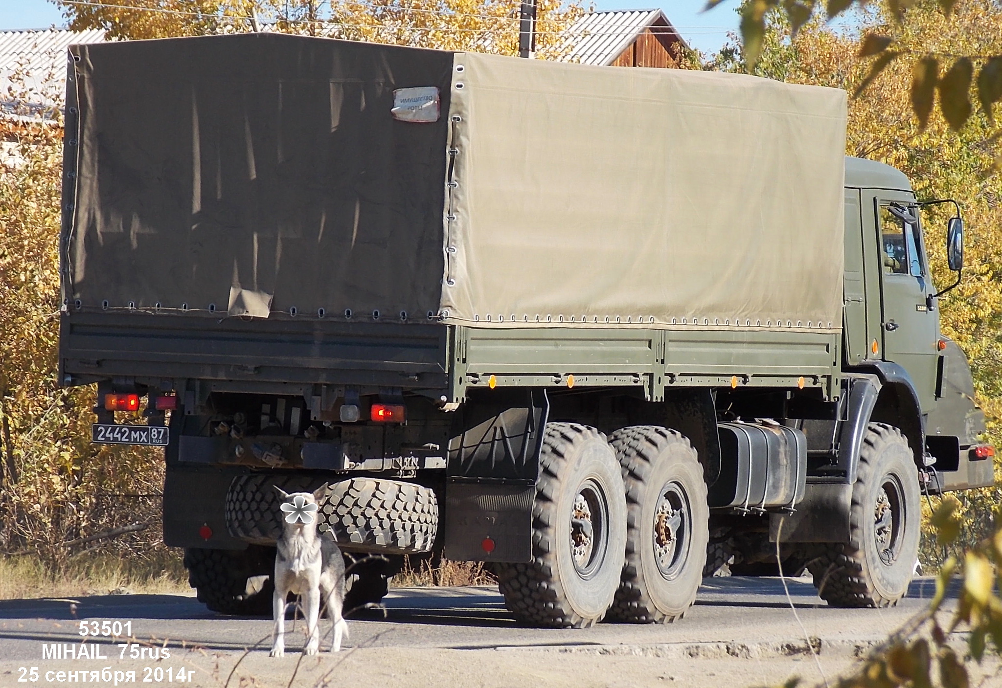 Камаз 53501. КАМАЗ 53501 Мустанг военный. КАМАЗ 53501 армейский бортовой. КАМАЗ 53501 Гражданский.