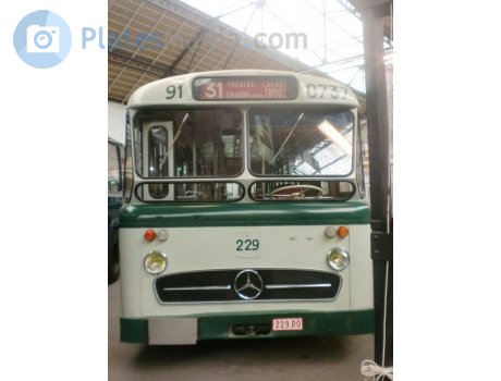 229.P.0, Mercedes-Benz O317