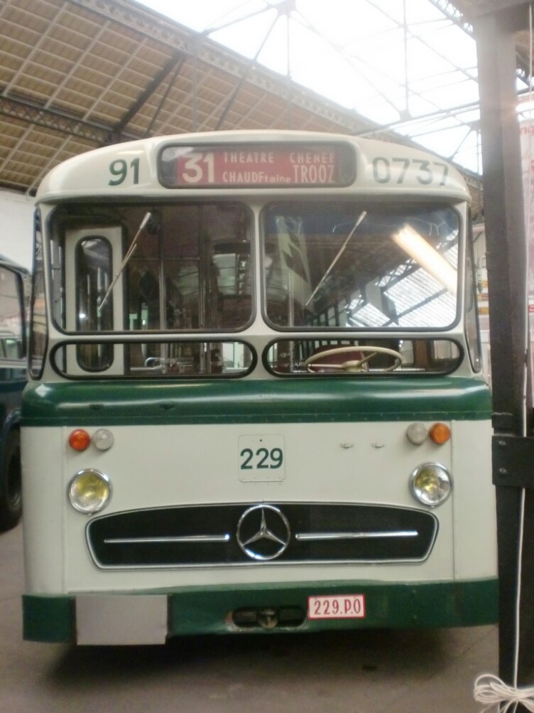229.P.0, Mercedes-Benz O317 