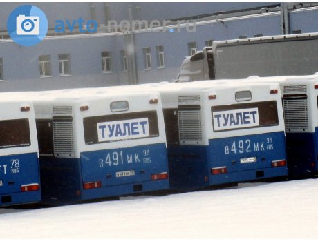 в491мк98, MAZ 163