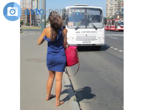 в774рр178, PAZ 3203/3204