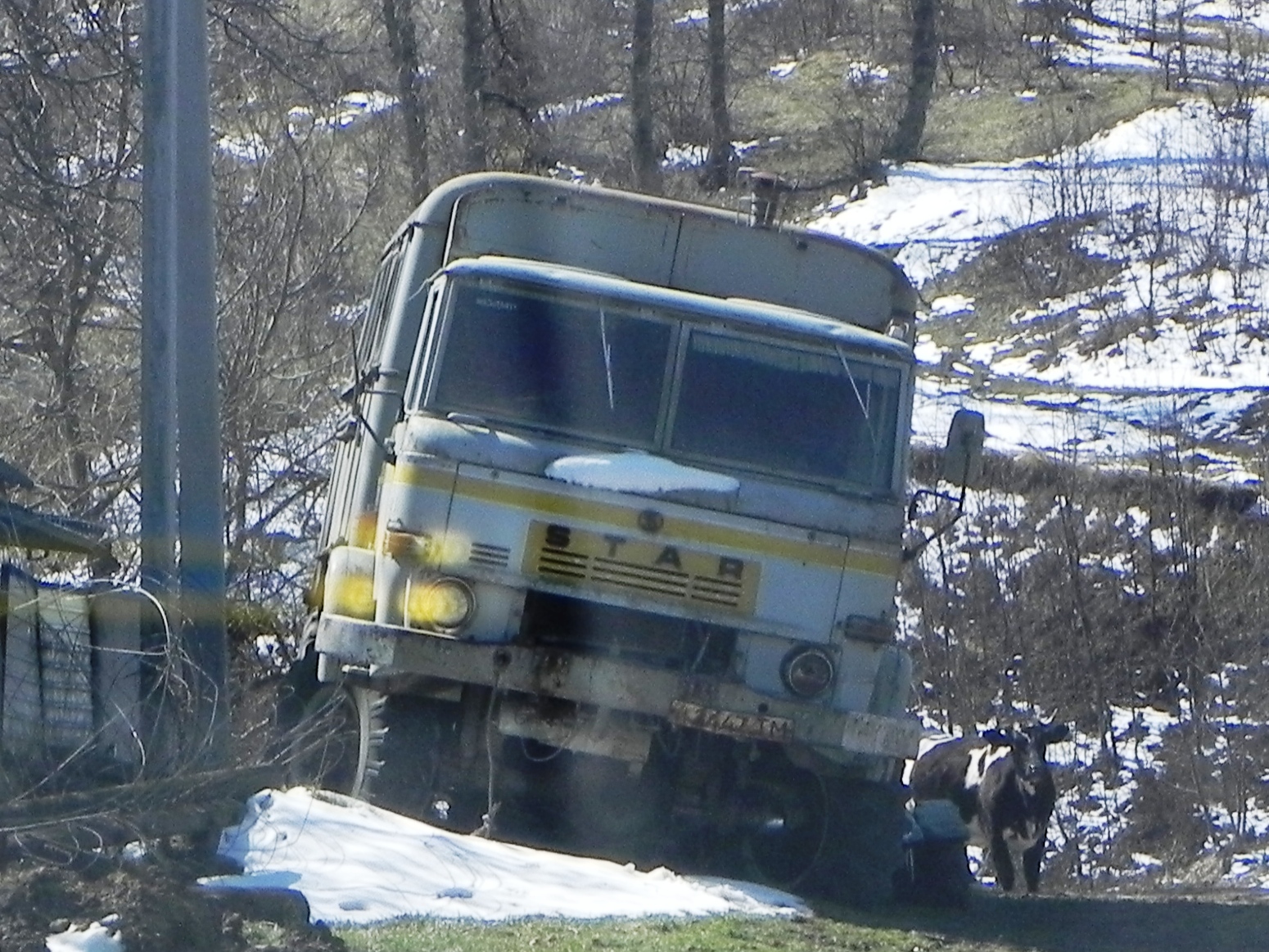 и 2447 ТМ, Star 266 266 (Star), 1973–2000