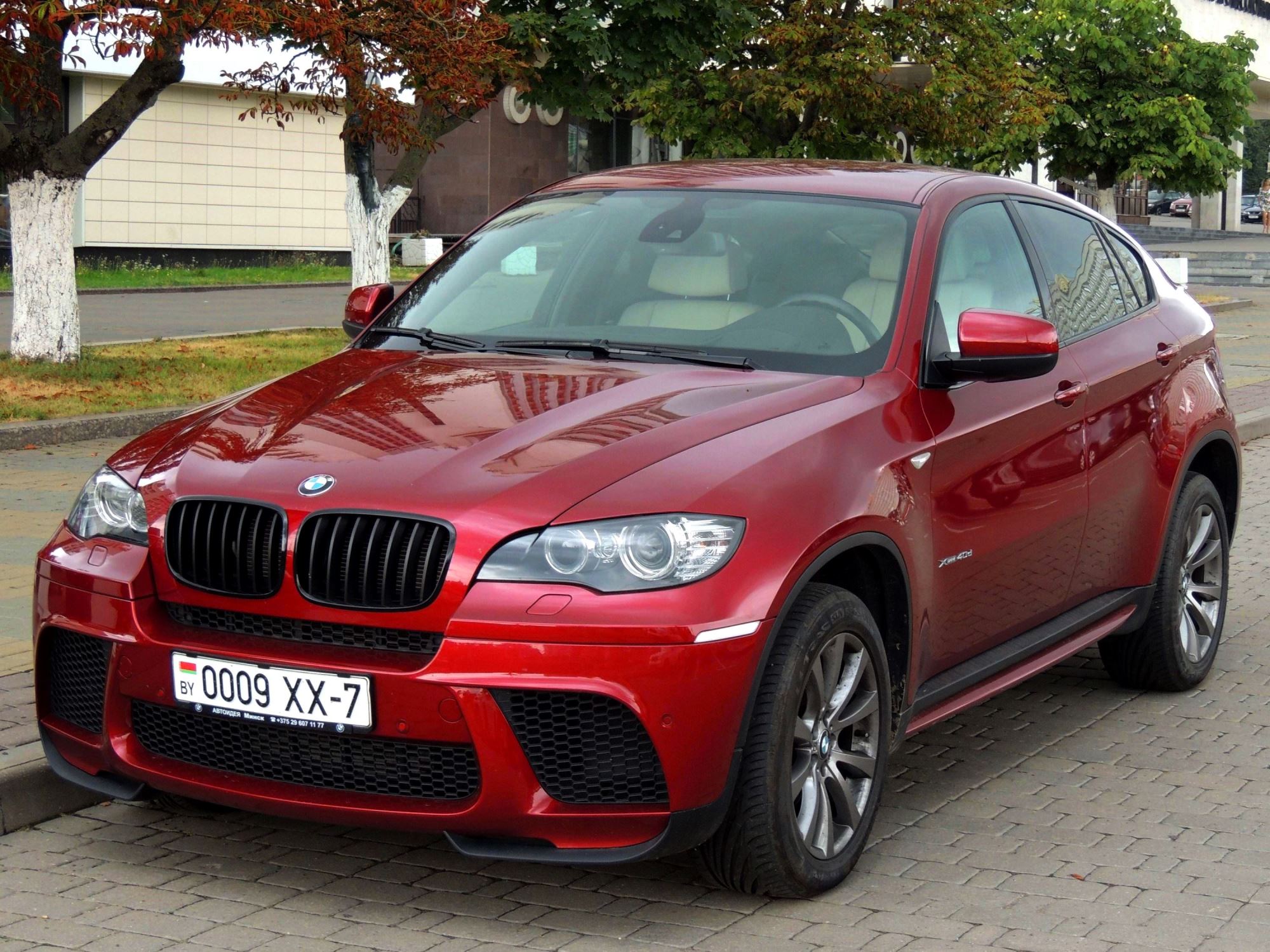 0009 XX-7, BMW X6 1st gen (E71), 2008–2014