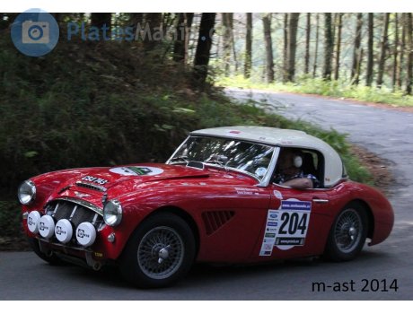 CSJ 743, Austin-Healey 100/3000