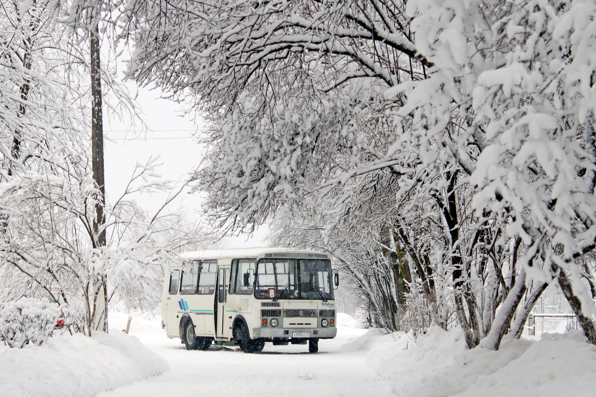 х 993 ет 47, PAZ 3205 32053, 2001–2016