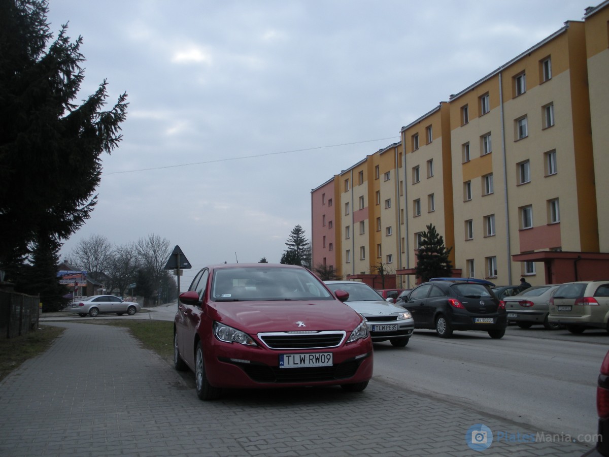 TLW RW09, Peugeot 308 