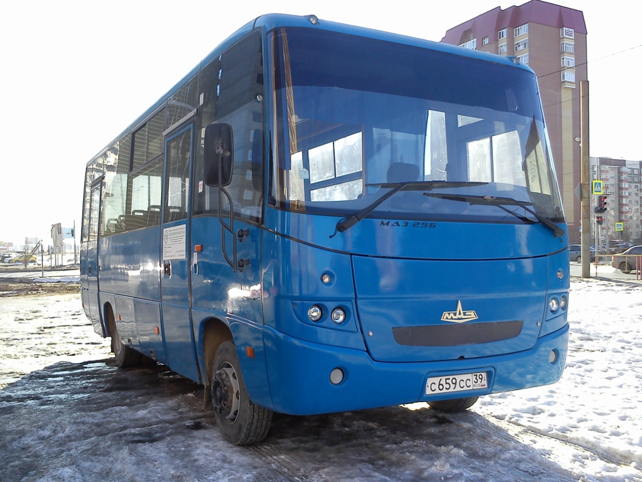 Автобус 256. МАЗ-256 автобус. МАЗ 256 мотор. Модель МАЗ 256. Автобус МАЗ 256 170.