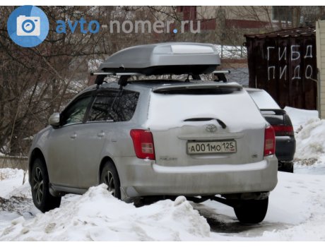 а001мо125, Toyota Corolla Fielder