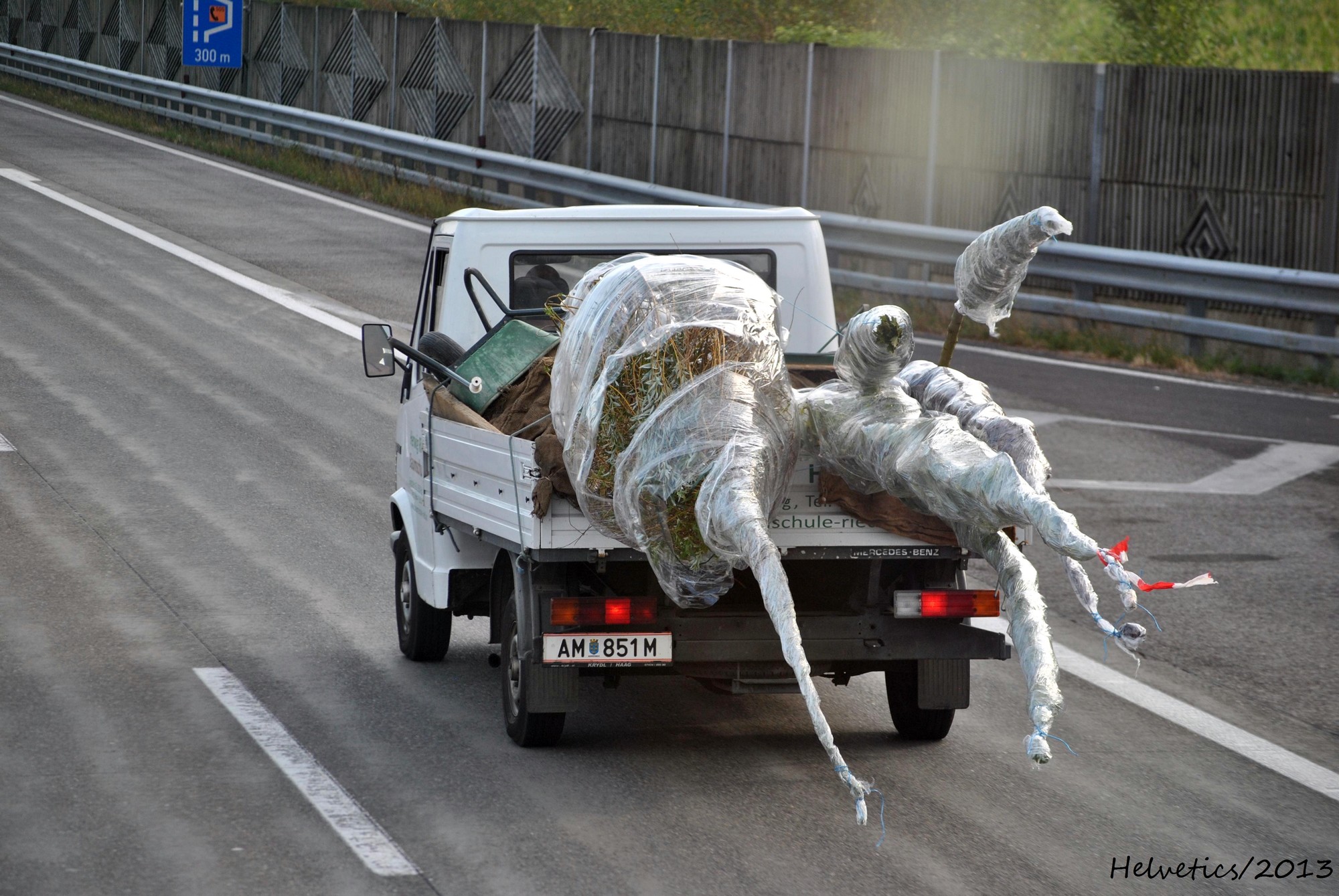 AM 851 M, Mercedes-Benz T1 1st gen (601/602/611), 1976–1996