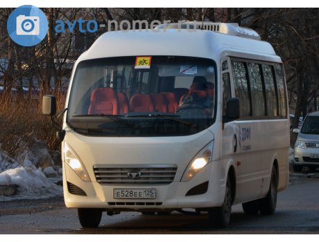 е528ее125, Daewoo Lestar