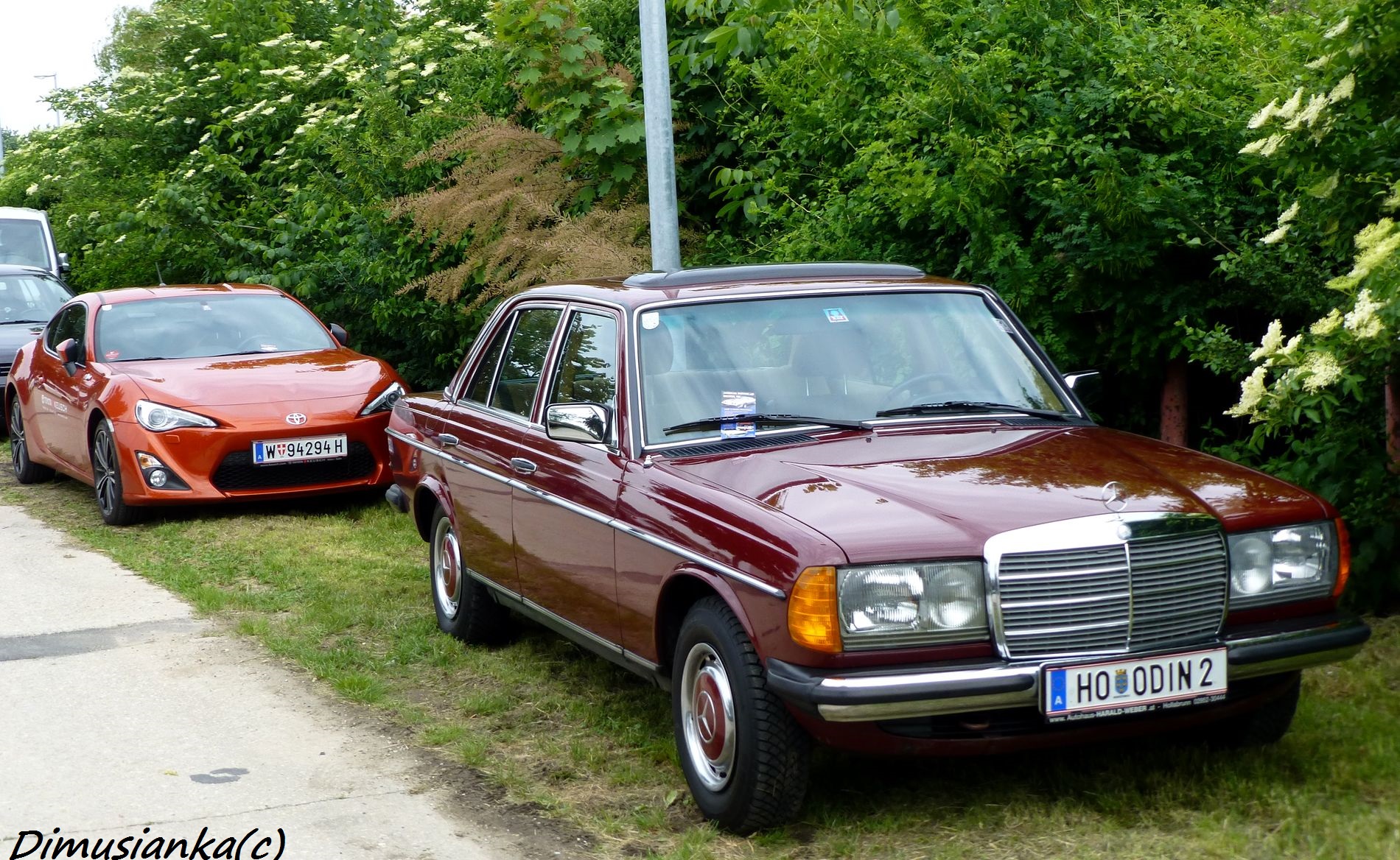 HO ODIN 2, Mercedes-Benz E-Klasse 200–300 Sedan (W123), 1975­–1986