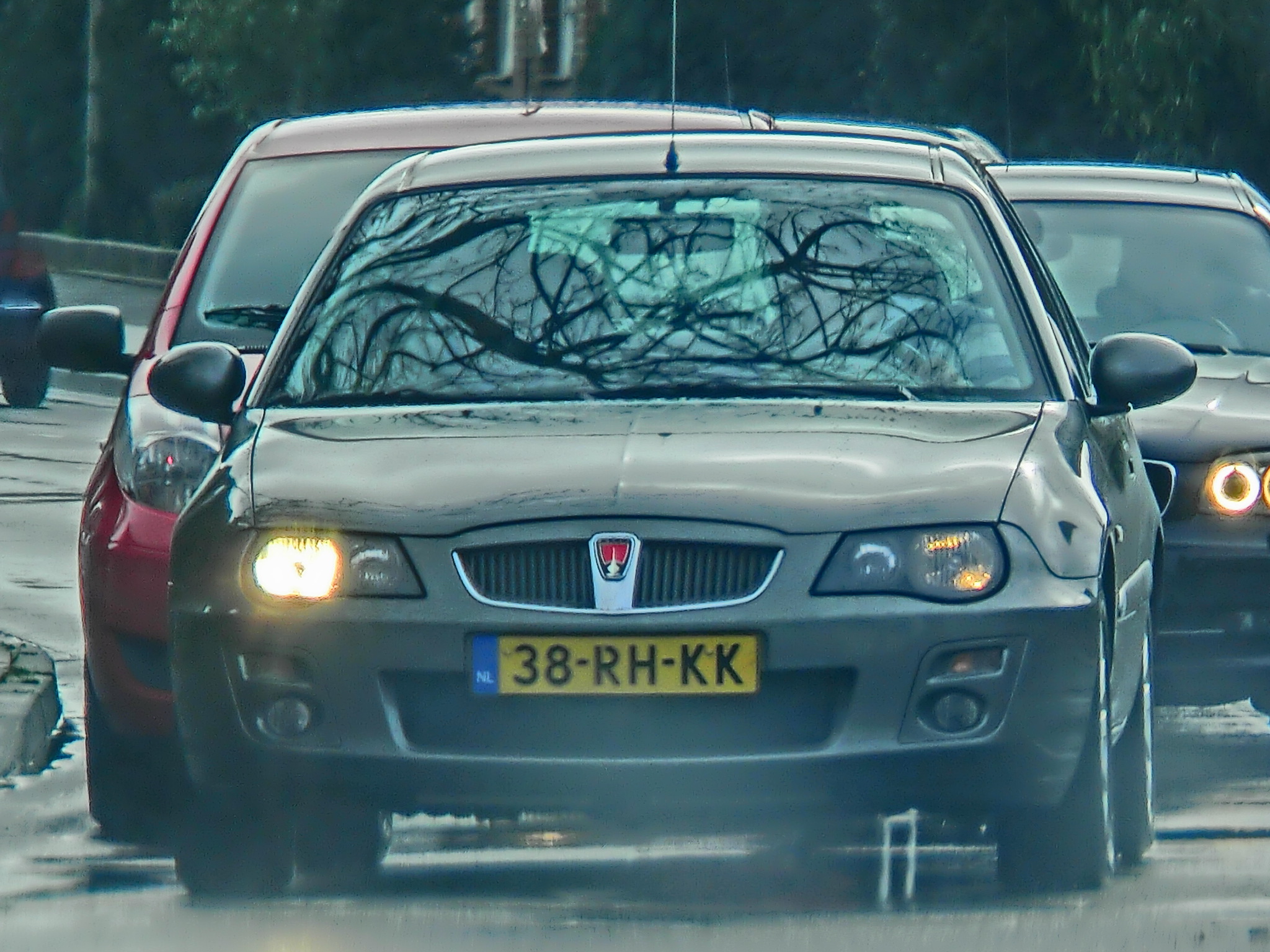 nl7059.jpg