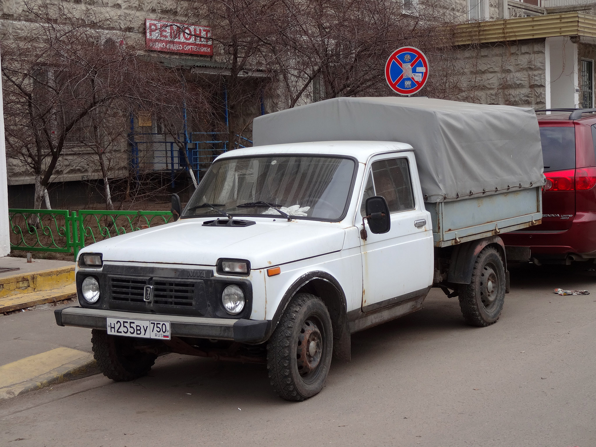 Фото 2302 бизон