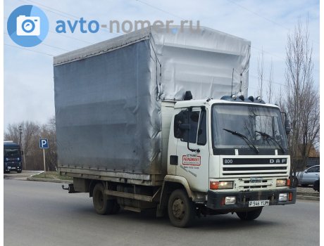 P 546 YUM, DAF 800