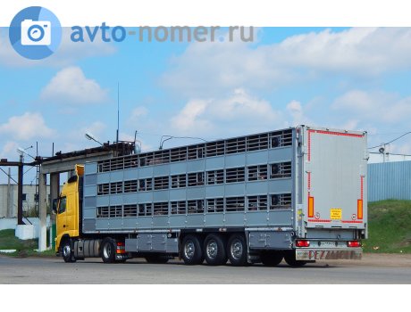 ан 1134 31, Pezzaioli SBA