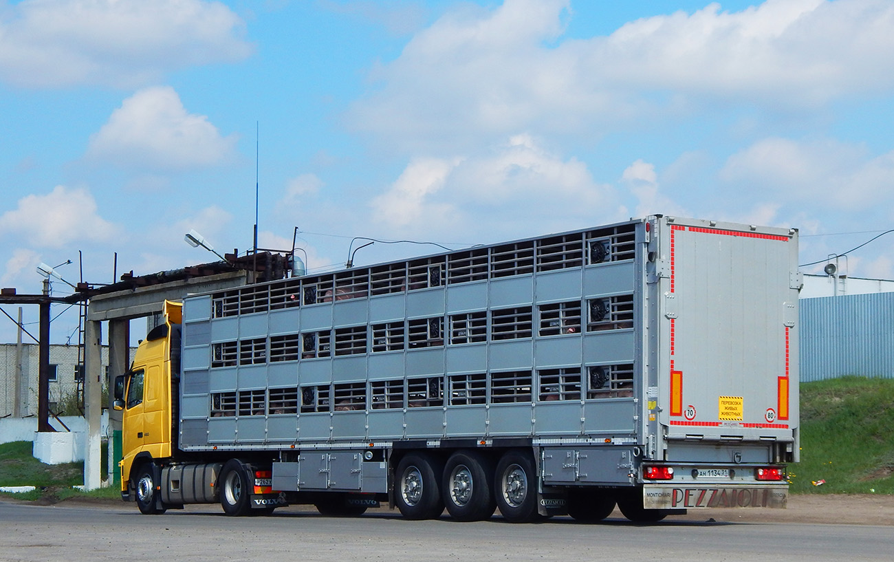 ан 1134 31, Pezzaioli SBA 