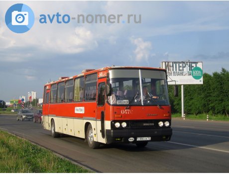 с886ав12, Ikarus 250